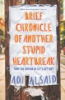 Brief_chronicle_of_another_stupid_heartbreak