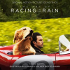 The_Art_of_Racing_in_the_Rain