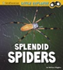 Splendid_spiders
